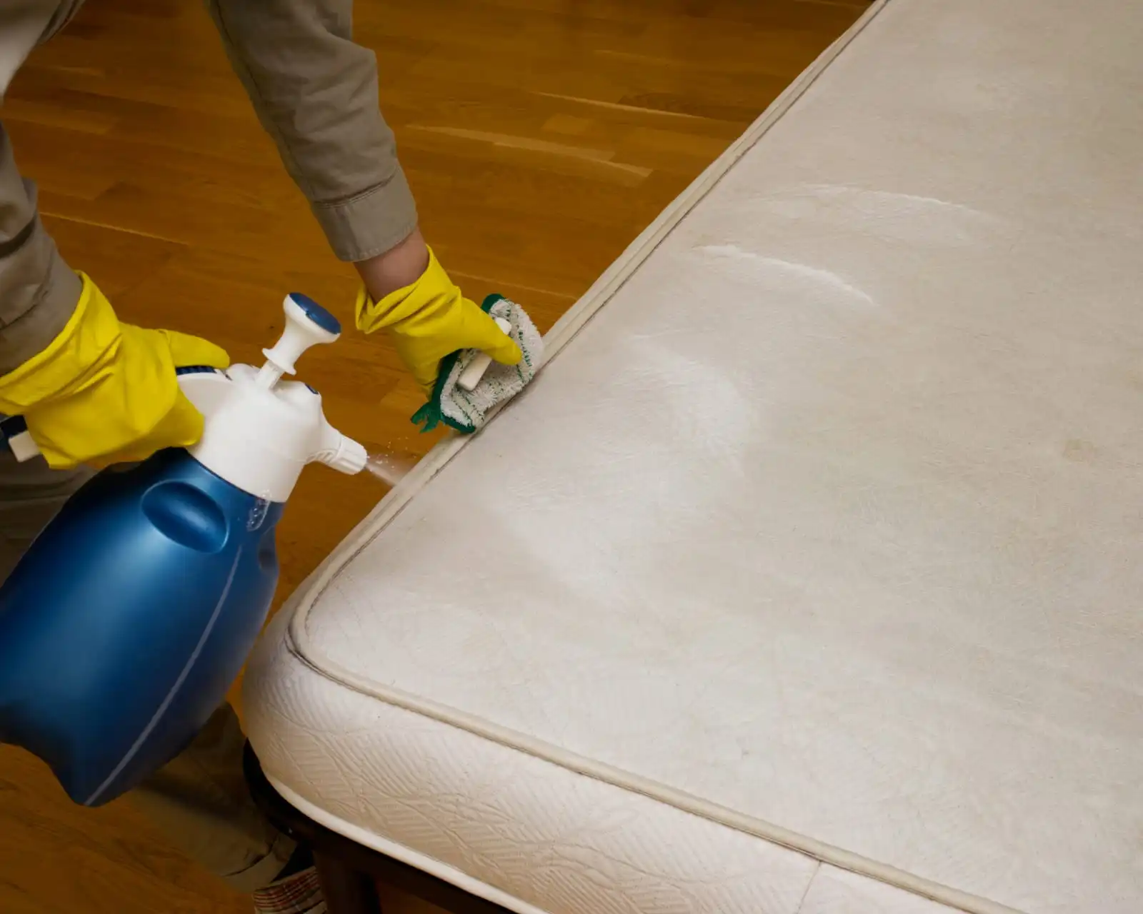 Protection peinture voiture